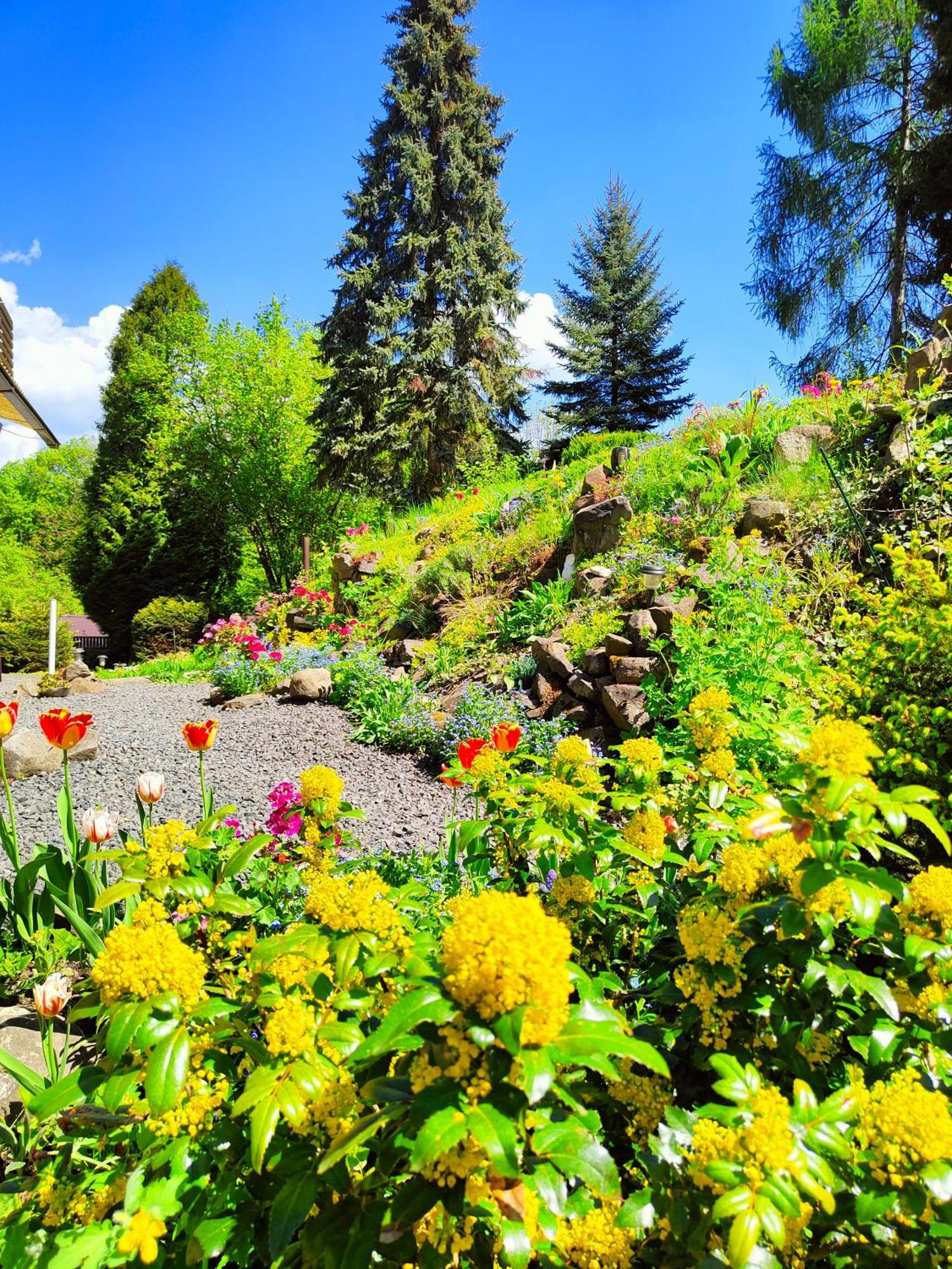 Bed And Breakfast Tvrz Velka Bukovina Ngoại thất bức ảnh