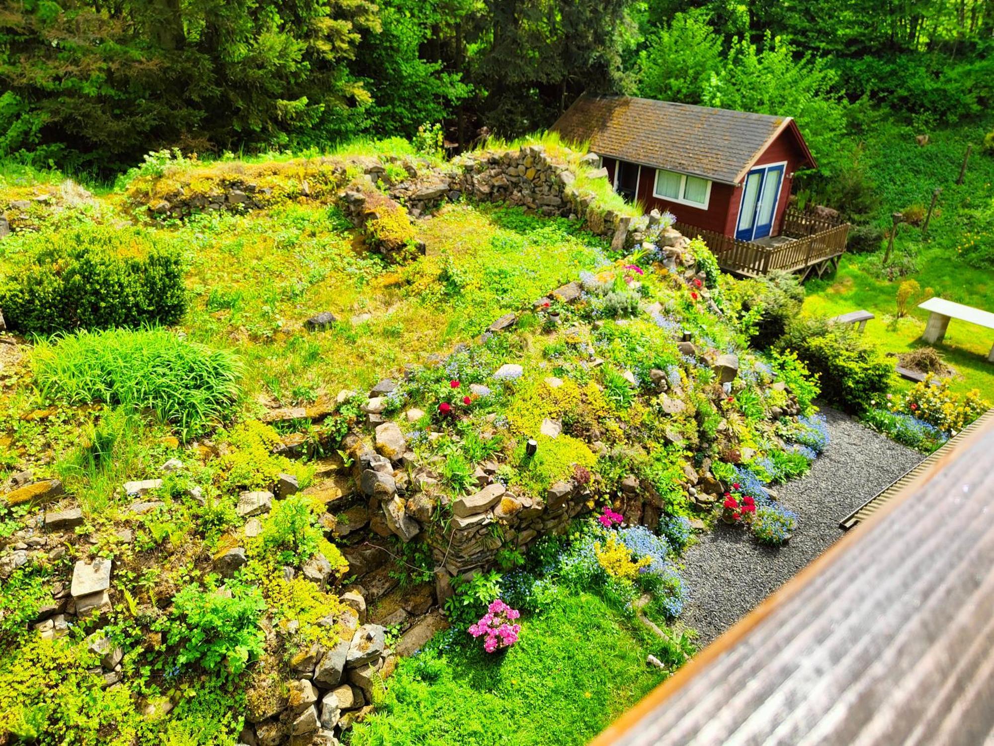 Bed And Breakfast Tvrz Velka Bukovina Ngoại thất bức ảnh